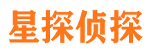 靖西侦探公司